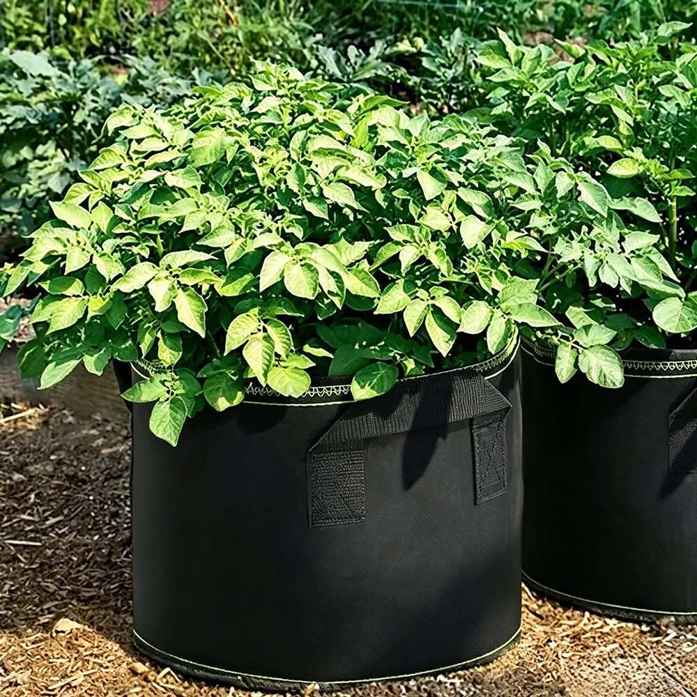 large black grow bags planted with leafy greens beside a raised bed