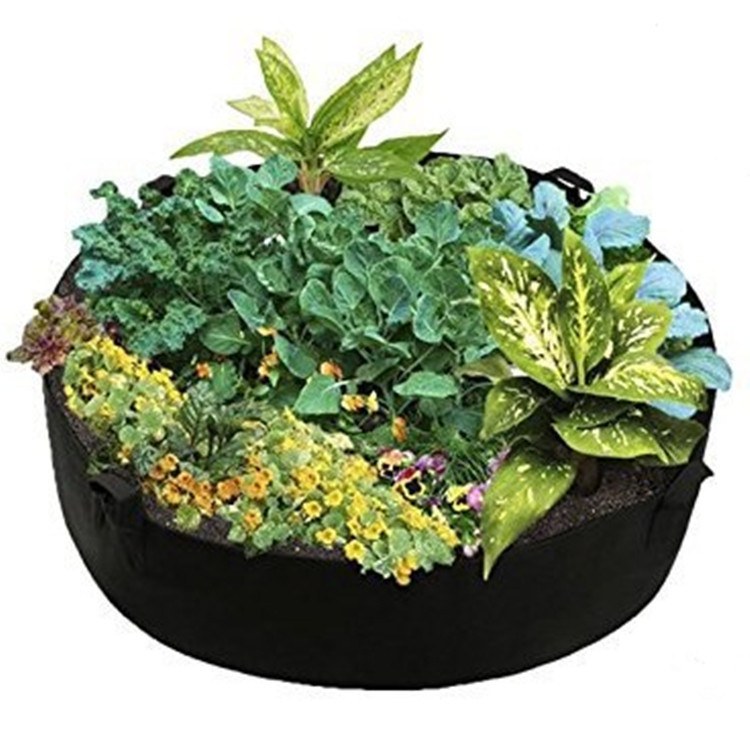 large round felt raised bed planted with mixed foliage and vegetables