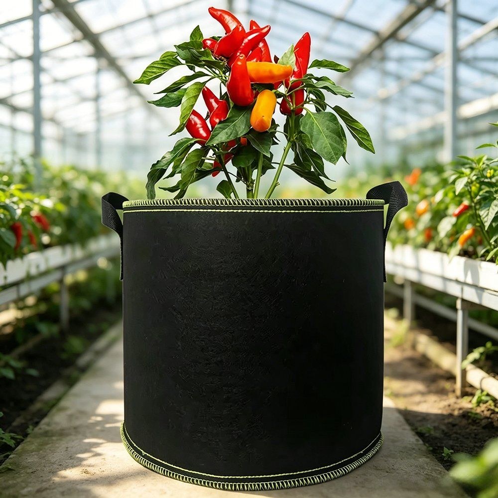 black nonwoven grow bag with a pepper plant in a greenhouse