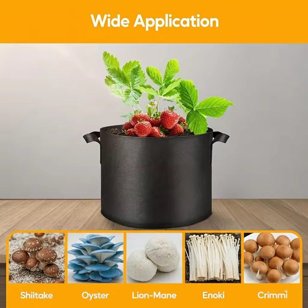grow bag used for mushroom cultivation with substrate blocks