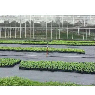 Garden Weed Control Fabric/Ground Cover/Agrotextile