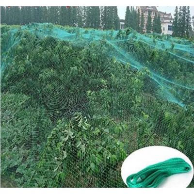 Customizable Various Agricultural Anti Bird Netting