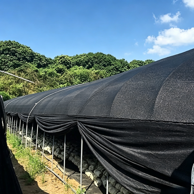 greenhouse cooling,greenhouse curtain,greenhouse shading,sun protection,vegetable protection